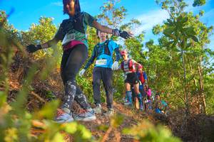 BIB: 2090
                            <button type="button" onclick="openModal(21841503)" class="btn btn-primary btn-sm float-right btn-popup" data-toggle="modal" data-target=".modal-high-quality">
                        <i class="fas fa-shopping-cart"></i> Add to Cart
                    </button>
                                            <button type="button" onclick="isThisMe(21841503, true)" class="btn btn-success btn-sm float-right btn-popup btn-isme hidden" data-toggle="tooltip" data-placement="bottom" title="นี่คือรูปของคุณใช่ไหม คลิกที่นี่เพื่อเอาเข้าอัลบั้ม">
                        <i class="fas fa-plus"></i> Add to album
                    </button>
                    <button type="button" onclick="isThisMe(21841503, false)" class="btn btn-warning btn-sm float-right btn-popup btn-isnotme hidden">
                        <i class="fas fa-ban"></i> Remove from album
                    </button>